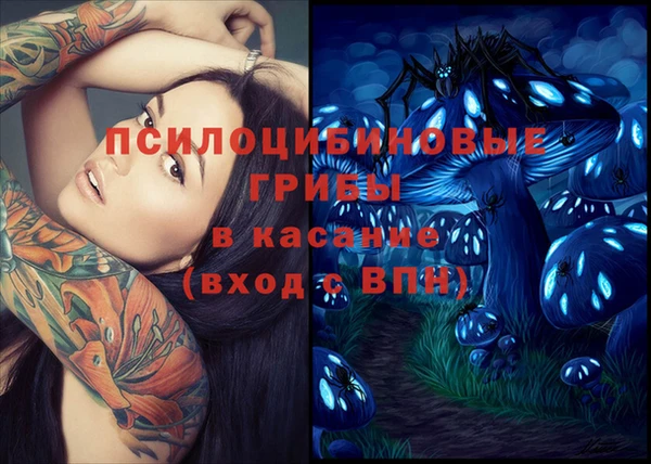 спиды Абинск
