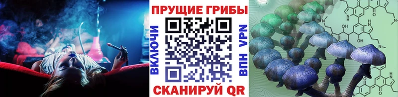 ссылка на мегу как зайти  купить наркоту  Владикавказ  Псилоцибиновые грибы Magic Shrooms 