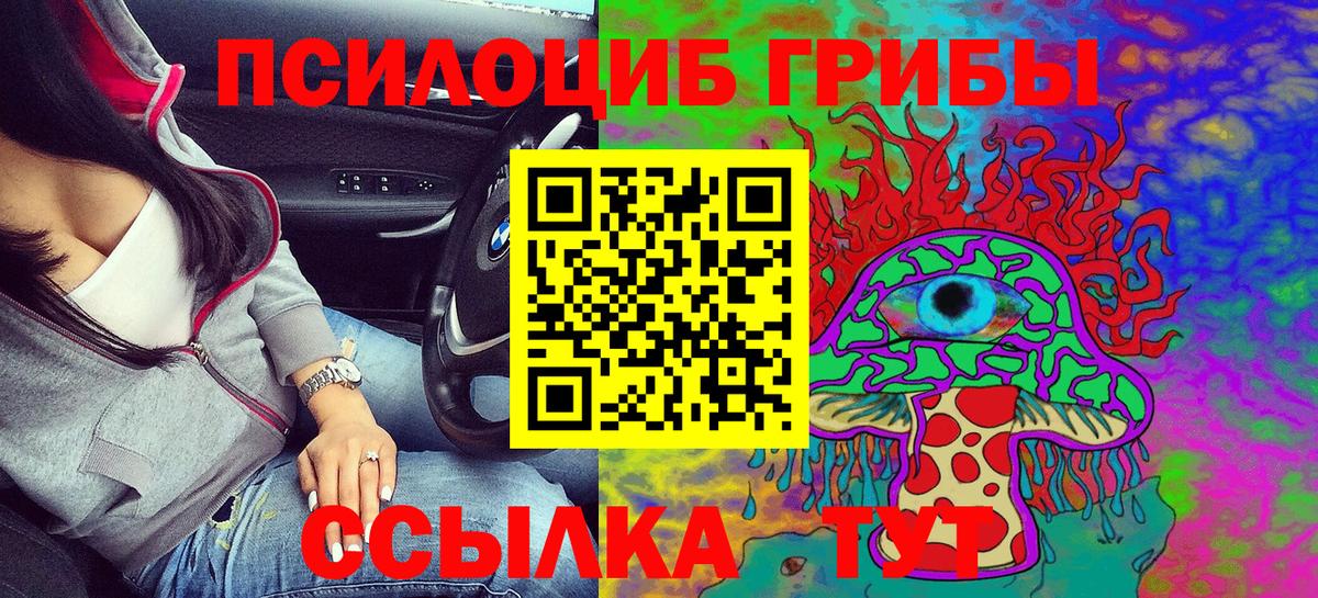 Псилоцибиновые грибы Cubensis Владикавказ